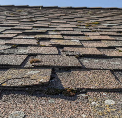 how long does a roof last parma oh